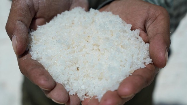Potret Keluarga Suriah Mencari Nafkah dari Garam Gurun