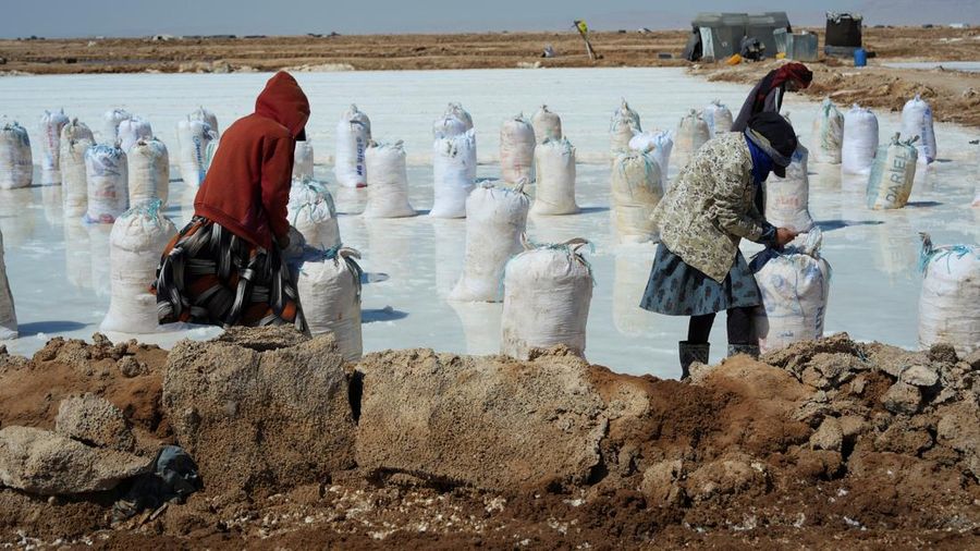 Puluhan pekerja memanen garam dari sumur air asin di gurun Sabkhat al-Muh, wilayah Palmyra, Suriah, dengan bekerja di bawah terik mentari demi bayaran nan tergolong kecil. (REUTERS/Karam al-Masri)