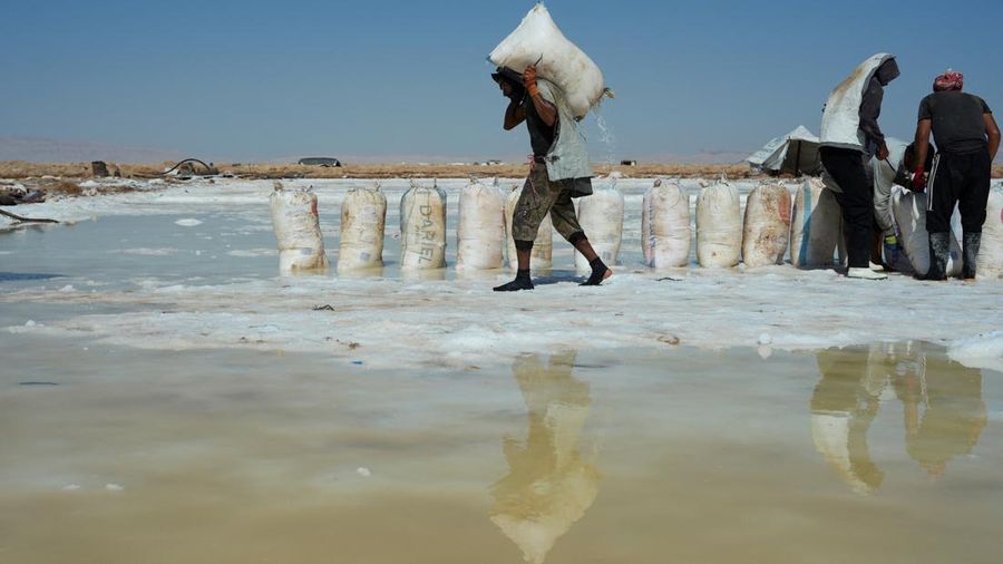 Puluhan pekerja memanen garam dari sumur air asin di gurun Sabkhat al-Muh, wilayah Palmyra, Suriah, dengan bekerja di bawah terik mentari demi bayaran nan tergolong kecil. (REUTERS/Karam al-Masri)