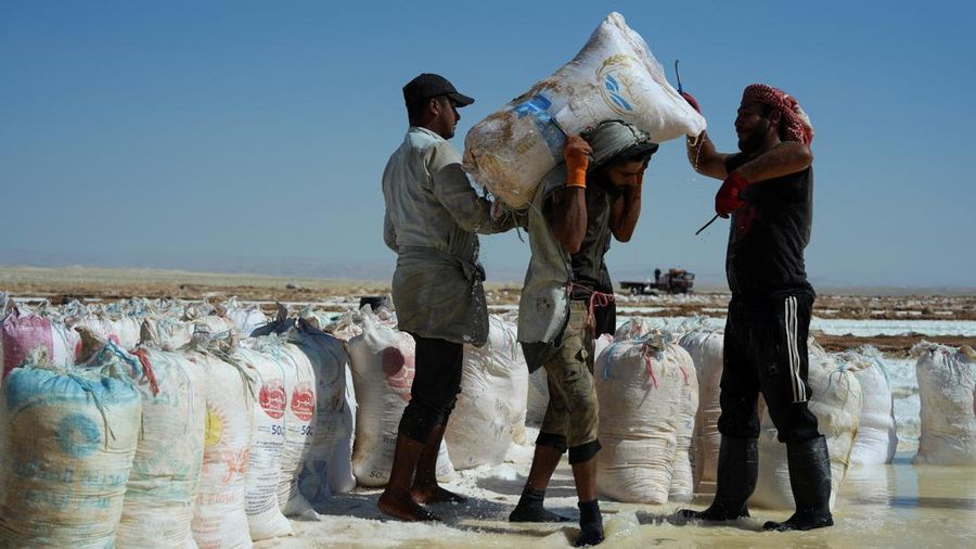 Puluhan pekerja memanen garam dari sumur air asin di gurun Sabkhat al-Muh, wilayah Palmyra, Suriah, dengan bekerja di bawah terik mentari demi bayaran nan tergolong kecil. (REUTERS/Karam al-Masri)