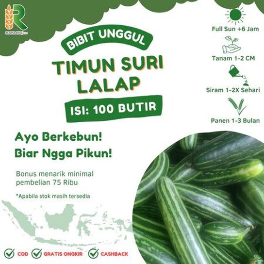 HaiBunda