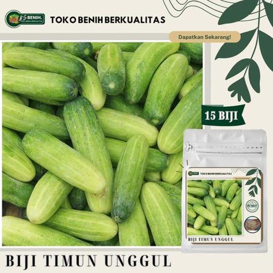 HaiBunda