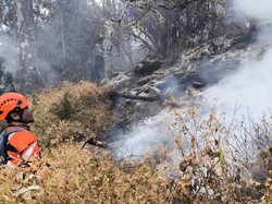185 Pendaki Masih Berada di Gunung Buthak Saat Karhutla Melanda