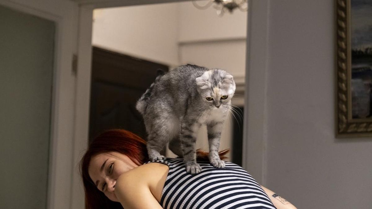 Kucing Suka Memijat 'Babunya', Tanda Sayang atau Bukan?
