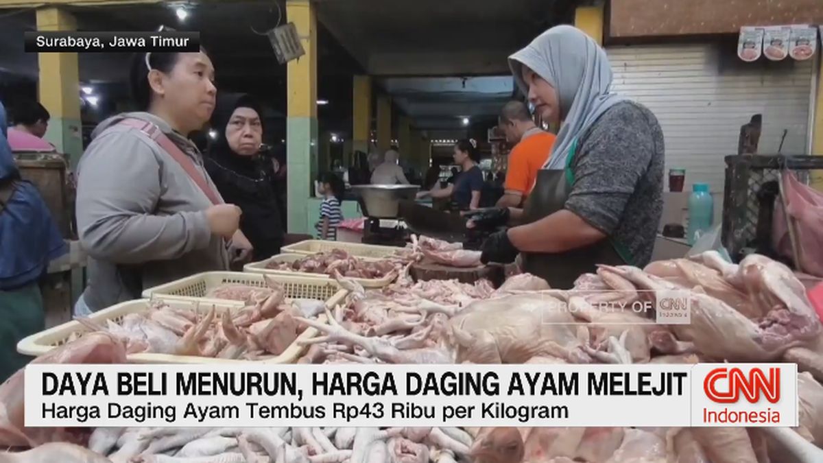 VIDEO: Pangan Masih Mahal, Harga Ayam dan Cabai Kian Melambung