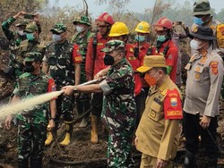 1.776 Hektare Lahan Terbakar di Jambi-3.156 Hotspot Muncul Selama Agustus