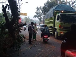 Pemotor di Serang Tewas Tertimpa Pohon Tumbang Saat Pulang Kerja
