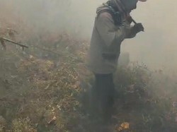 Kebakaran Hutan Terjadi di Gunung Buthak Malang!