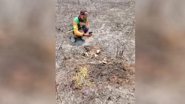Kijang Mati Terbakar Imbas Karhutla Semeru, Macan Tutul Bermigrasi