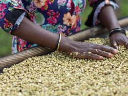 5 Negara Penghasil Biji Kopi Berkualitas di Dunia, Ada Indonesia?