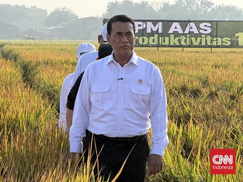 Menteri Pertanian (Mentan) Andi Amran Sulaiman mengancam akan mencabut izin pengusaha besar, terutama importir, jika terbukti menaikkan harga pakan ayam secara tidak wajar.