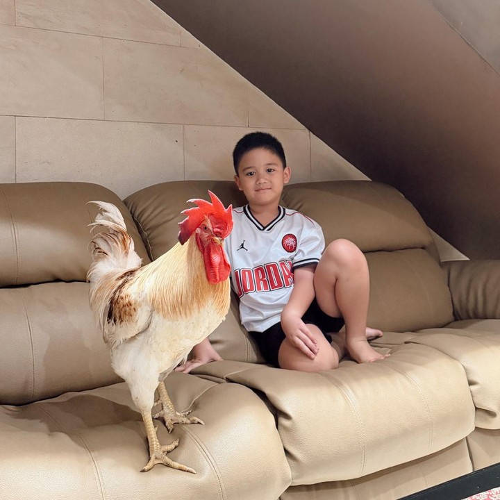 <p>Melalui unggahan di Instagram, Citra Kirana memang sering membagikan rutinitas keseharian putranya. Beberapa tahun belakangan, Athar menunjukkan ketertarikannya dengan hewan. Athar bahkan memiliki hobi unik, yakni memelihara berbagai jenis hewan eksotis. (Foto: Instagram @citraciki)</p>