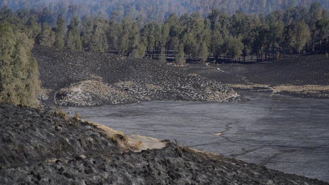 Wisata Bromo Tetap Dibuka, tapi Pengunjung Dilarang Mengambil Gambar