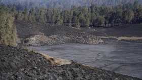 Kondisi vegetasi terdampak kebakaran di sekitar blok Oro-oro Ombo, kawasan Taman Nasional Bromo Tengger Semeru (TNBTS), Lumajang, Jawa Timur, Selasa (1/9/2026). Balai Besar TNBTS mencatat kebakaran tersebut telah berdampak pada sekitar 590 hektare ka