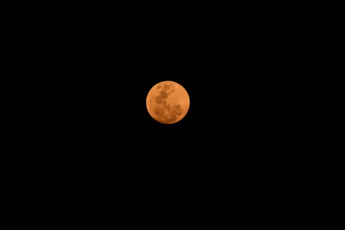 Ilustrasi harvest moon
