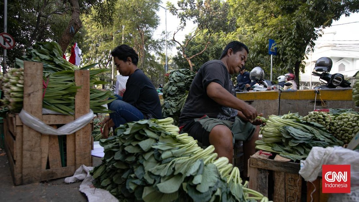 Aktivitas perdagangan sayuran terlihat di Pasar Senen, Jakarta, Selasa (1/9/2026). Seorang pekerja menaikkan sayuran sawi ke atas gerobak untuk didistribusikan di kawasan pasar. (CNN Indonesia/Adi ibrahim)
