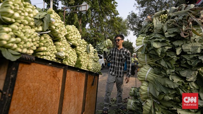 Aktivitas perdagangan sayuran terlihat di Pasar Senen, Jakarta, Selasa (1/9/2026). Seorang pekerja menaikkan sayuran sawi ke atas gerobak untuk didistribusikan di kawasan pasar. (CNN Indonesia/Adi ibrahim)
