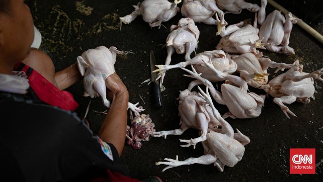 Aktivitas perdagangan sayuran terlihat di Pasar Senen, Jakarta, Selasa (1/9/2026). Seorang pekerja menaikkan sayuran sawi ke atas gerobak untuk didistribusikan di kawasan pasar. (CNN Indonesia/Adi ibrahim)