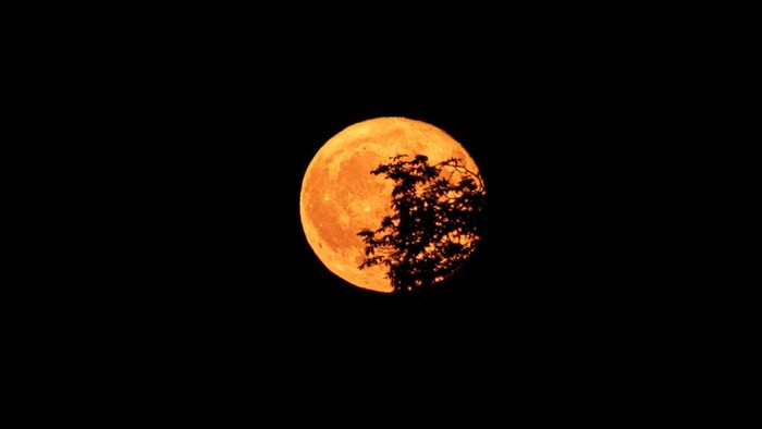 Ini Daftar Fenomena Langit Sepanjang September 2026, Ada Harvest Moon!