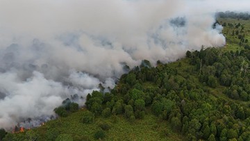 Gunung Lakawan Enrekang Terbakar, Petugas Kesulitan Padamkan Api