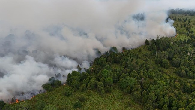 Kasus ISPA Dampak Karhutla di Aceh Barat Meningkat