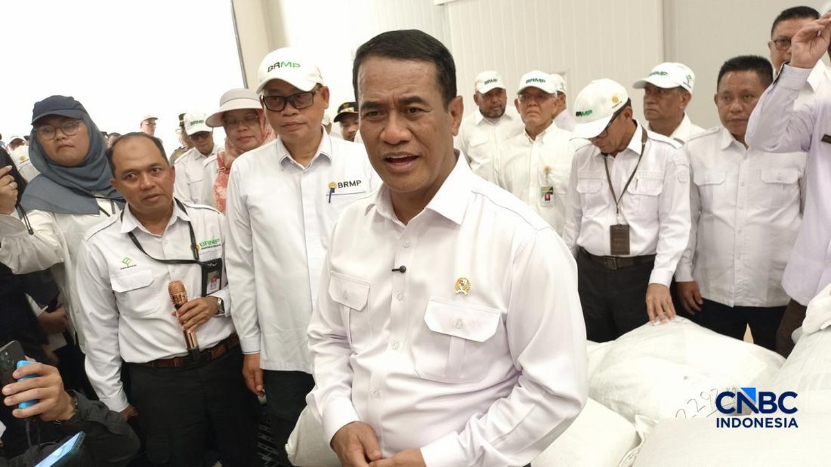 Beras Jadi Penyumbang Inflasi Agustus 2026, Amran Tunjuk Penyebabnya