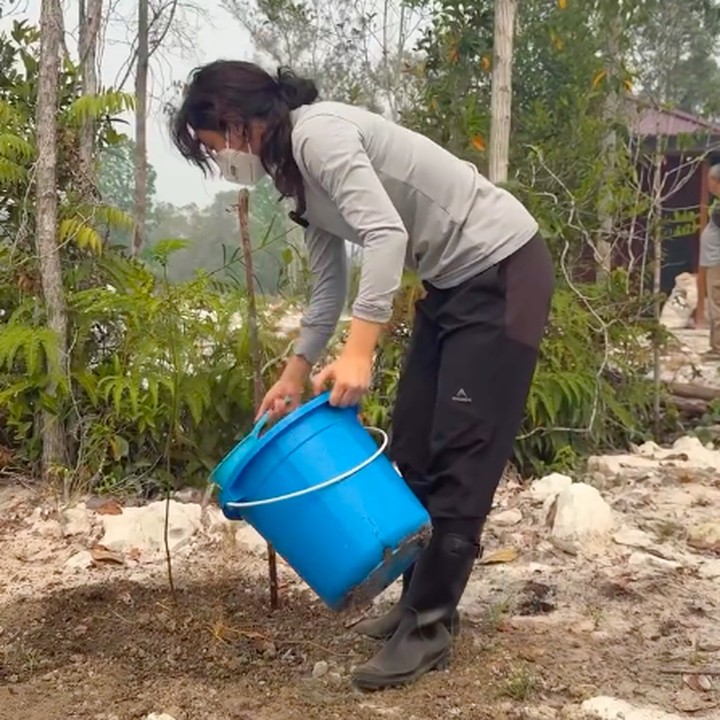 <p>Selain memadamkan kobaran api, Sherina juga turut membantu dalam memulihkan hutan dengan menanam tanaman. Perempuan 36 tahun ini melakukan semuanya sendiri, termasuk mencangkul dan menyiram tanaman. "Bahkan setelah api, peer kita masih banyak, hutan perlu dikembalikan demi pulihkan ekosistem yang terdampak," ungkapnya. (Foto: Instagram @sherinamunaf)</p>