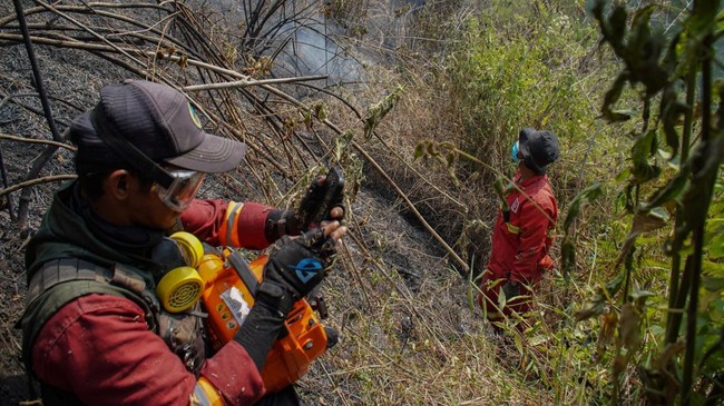 Dampak Kebakaran di Danau Ranukumbolo