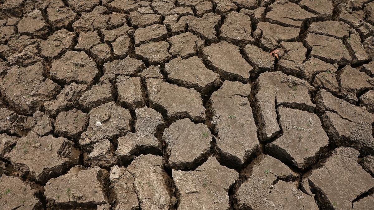 El Nino Makin Ganas, Dunia Bersiap Hadapi Petaka Besar