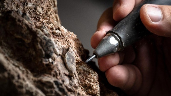 Suravech Suteethorn, deputy director of the Palaeontological Research and Education Centre at Mahasarakham University, uses a pneumatic pen to clean a dinosaur fossil in Mahasarakham on August 18, 2026. Researchers have found a trove of dinosaur foss