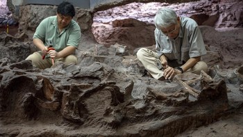 Palaeontologist Varavudh Suteethorn (R) and his son Suravech Suteethorn, deputy director of the Palaeontological Research and Education Centre at Mahasarakham University, excavate a dinosaur fossil at Phu Wiang National Park in Khon Kaen on August 19