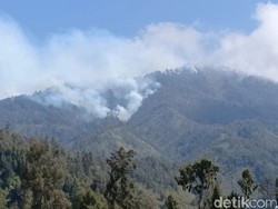 Kebakaran Hutan TNBTS Meluas Hingga Kabupaten Malang
