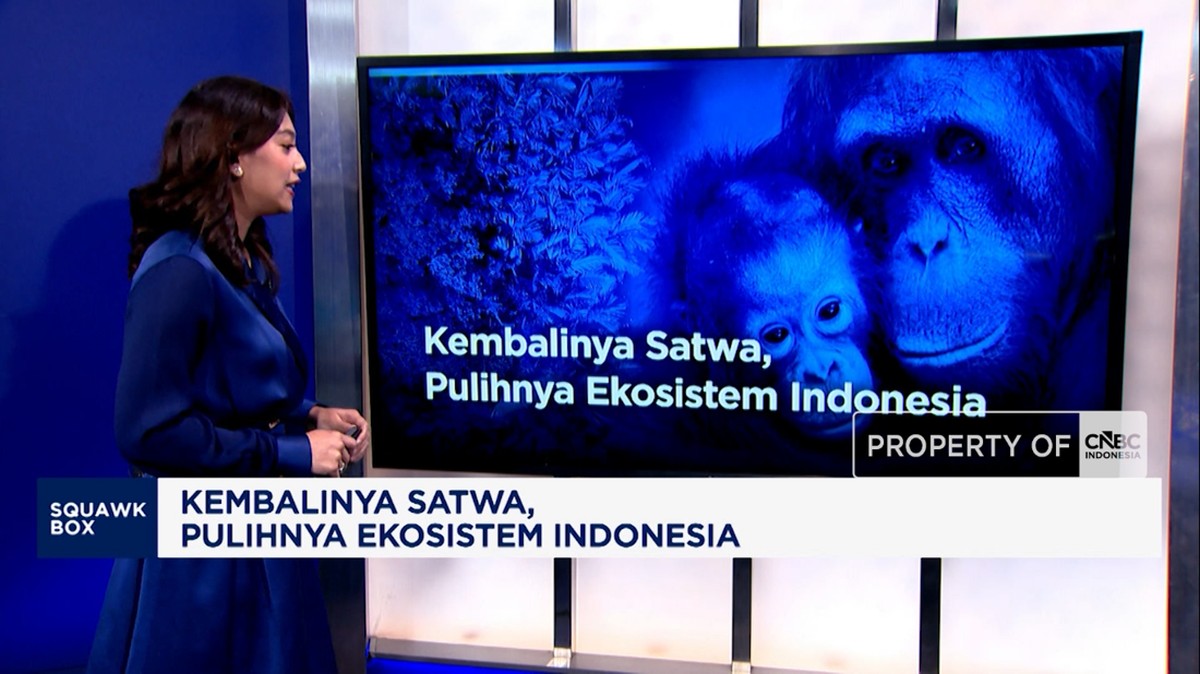 Video: Kembalinya Satwa, Pulihnya Ekosistem Indonesia
