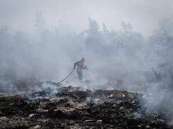 BNPB Ungkap Situasi Karhutla di Sumatera, Kalimantan hingga Papua Barat