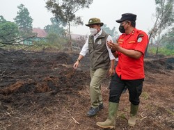 Cek Karhutla, Menhut: Kalbar Sedang Tidak Baik-baik Saja