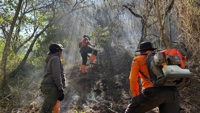 Kebakaran Semeru Meluas, 1.888 Hektare Lahan Hangus