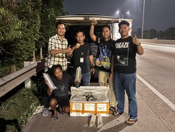 Polda Metro Sergap Pikap Mencurigakan Angkut 150 Ribu Benih Bening Lobster