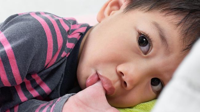 Child Finger Sucking which Newborn's behavior is about 4 years old. and looking camera on white background.