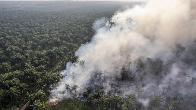 Karhutla di Lahan Gambut Muaro Jambi Meluas