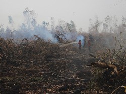 Karhutla Kepung Lahan Gambut Tanjab Timur, Pemadaman Dikebut