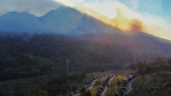 Kebakaran di Gunung Merapi Ungup-ungup Banyuwangi Meluas