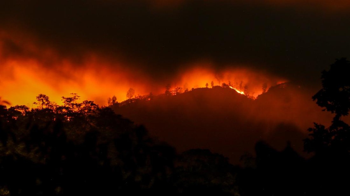 Kebakaran di Gunung Merapi Ungup-ungup Banyuwangi Meluas