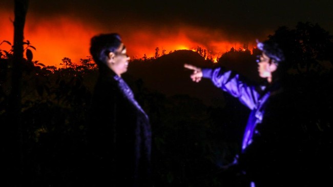 Kebakaran di Gunung Merapi Ungup-ungup Banyuwangi Meluas