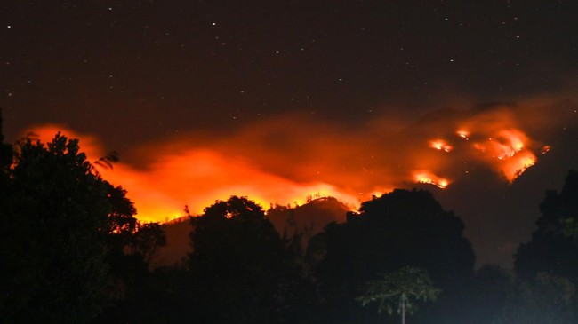 Kebakaran di Gunung Merapi Ungup-ungup Banyuwangi Meluas