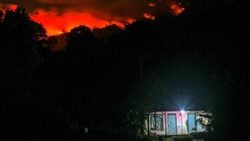 Kebakaran di Gunung Merapi Ungup-ungup Meluas Ancam Kawasan Wisata Ijen