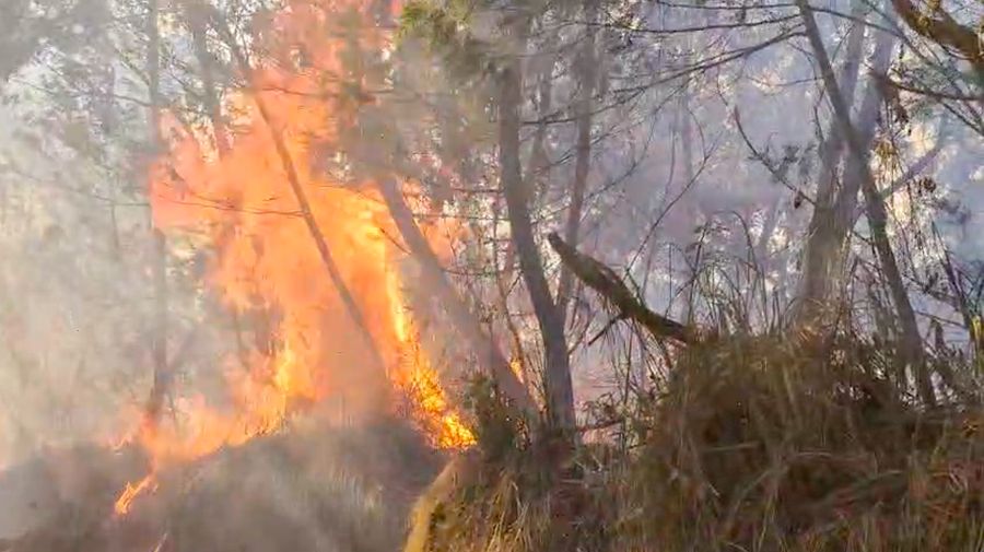 Kebakaran rimba dan lahan (karhutla) di area Gunung Ungup-Ungup, Jawa Timur, terpantau meluas hingga memasuki wilayah Kabupaten Bondowoso pada Jumat (4/9/2026).