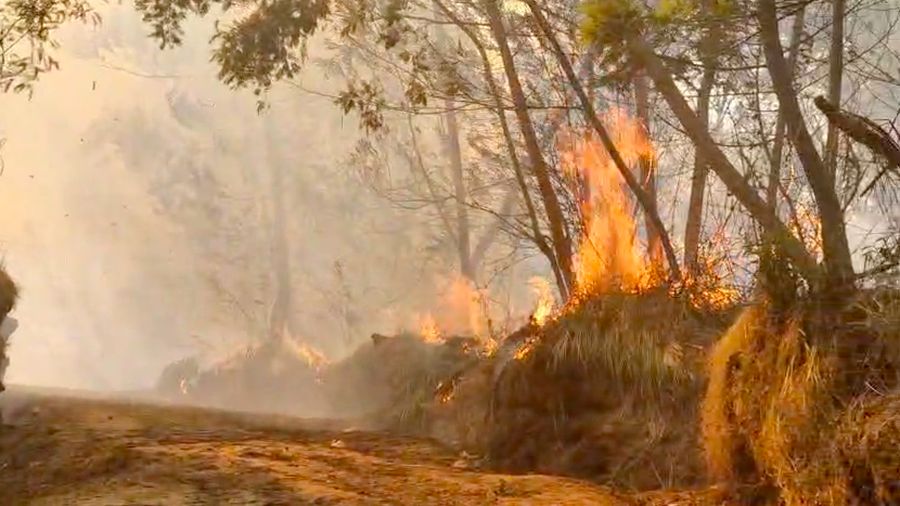 Kebakaran rimba dan lahan (karhutla) di area Gunung Ungup-Ungup, Jawa Timur, terpantau meluas hingga memasuki wilayah Kabupaten Bondowoso pada Jumat (4/9/2026).