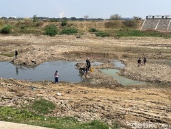 Penampakan Terkini Sungai Juana Pati Lokasi Warga Panen Ikan hingga 10 Ton