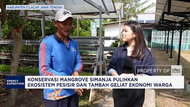 Konservasi Mangrove Simanja Pulihkan Ekosistem Pesisir