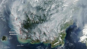NASA Rilis foto satelit kebakaran lahan gambut meredupkan langit di Indonesia